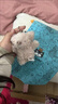 Jellycat英國(guó)Jellycat小豬柔軟可愛毛絨安撫玩具公仔可愛豬玩偶 粉紅色 Little 曬單實(shí)拍圖