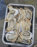 鮮海道【活鮮】鮮海道生蠔  乳山牡蠣 新鮮海蠣子生鮮貝類(lèi) 肥蠔2XL號凈重9斤 曬單實(shí)拍圖
