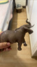 思樂（Schleich S）仿真草原動物模型非洲象亞洲象小象斑馬兒童玩具擺件啟蒙認(rèn)知3+ 非洲公象14762 曬單實拍圖