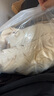 波司登（BOSIDENG）【反季】羽絨服男女兒童90絨三防短款抗菌萌趣造型連帽保暖外套 啵啵杏7A03 130 /64 曬單實拍圖