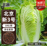 北蔬 北京新三號(hào)白菜種子種苗秋季種蔬菜種籽 北京新三號(hào)種子10g 曬單實(shí)拍圖