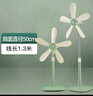中聯(lián)中聯(lián)落地扇zolee電風扇落地扇家用臺立式遙控靜音客廳節(jié)能學生宿舍迷你風扇電扇安全聲控語音 綠色 曬單實拍圖