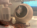 憨憨樂園小型魚缸過濾器低水位凈水器三合一水泵內(nèi)置循環(huán)增氧養(yǎng)魚過濾泵 4W 【適合20-30厘米內(nèi)的魚缸使用】 曬單實(shí)拍圖