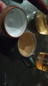 唐宗茶道茶壺陶瓷 功夫泡茶茶具 泡茶壺單壺 過(guò)濾家用陶瓷壺 綠色C3230 曬單實(shí)拍圖