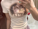 樂町甜美浪漫半高領(lǐng)貓咪圖案印花正肩短袖夏季新款修身T恤 米白（現(xiàn)貨） S 曬單實拍圖