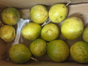 生鮮百香果特大果欽蜜9號(hào)孕婦新鮮水果雞蛋果 特價(jià)1斤裝單果40-50克中果-普郵 曬單實(shí)拍圖