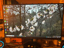 SANC盛色24.5英寸210Hz電競顯示器FastIPS 原生200Hz HDR400亮度 硬件低藍(lán)光 電腦屏幕 N50Pro5增強(qiáng)版 曬單實(shí)拍圖