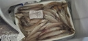 深海野生小沙丁魚 深海捕撈無添加高DHA低脂 500g/盒一斤40條左右 野生沙丁魚凈重4斤 曬單實拍圖