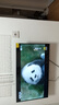 TCL雷鳥電視32/43英寸高清液晶電視智能彩電護(hù)眼液晶電視機(jī)以舊換新32寸43寸43吋 32英寸 旗艦款 送貨上門 全國聯(lián)保 曬單實(shí)拍圖