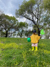 大樹(shù)爺爺 TREE GRANDPA兒童雨鞋加絨內(nèi)膽防滑日韓幼兒園小學(xué)寶寶玩防水膠鞋套男女童雨靴 熒光綠 16 （適合腳長(zhǎng)15cm左右） 曬單實(shí)拍圖