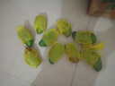 三亞芒果  海南芒果新鮮水果生鮮整箱當(dāng)季大青皮芒 熱帶孕婦芒果 10斤裝(凈果8.5-9斤)單果300g+ 曬單實(shí)拍圖