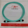 廣昌興(G.C.X)萬(wàn)兆多模mpo-mpo光纖跳線(xiàn)om4 12個(gè)芯10米母頭兼容MTP-MTP支持40g/100g/200g/400g光模塊連接線(xiàn) 曬單實(shí)拍圖