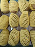 佳沛（zespri）新西蘭 陽光金奇異果12粒禮盒特大果單果約122-146g 獼猴桃 水果 曬單實拍圖