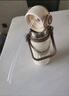希樂(lè)（cille）大容量保溫杯子女學(xué)生316不銹鋼水杯高顏值吸管杯戶外便攜運(yùn)動(dòng)杯 白色【公仔+刺繡貼】 800ml 曬單實(shí)拍圖