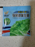 【京東物流】蔬菜種子四季播盆栽陽臺庭院香菜生菜菠菜簡單秋易種 玻璃生菜種子1包約1000粒 曬單實拍圖
