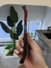 斯得弗適用紅米K80至尊版手機(jī)殼無邊框半包大孔小米Redmi k80ultra保護(hù)殼套超薄防摔皮紋硬殼-紅圈黑色 曬單實(shí)拍圖