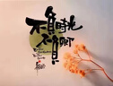 包大人（Dr.P）基礎型成人紙尿褲M(mǎn)80片（腰圍：70cm-110cm）老年人產(chǎn)婦尿不濕 曬單實(shí)拍圖