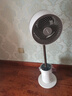大宇（DAEWOO）【國家補貼】落地氛圍燈空氣循環(huán)扇12檔立式電風(fēng)扇輕柔音直流變頻小型空調扇 F30S 曬單實(shí)拍圖