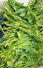 京滿隆新鮮板藍根青菜當季露天嫩油菜苔農(nóng)家自種蔬菜青菜葉整箱 1000g 精選裝 曬單實拍圖