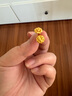 周六福 黃金吊墜耳釘女款5G足金浪漫絲絨玫瑰花掛墜耳飾   計(jì)價(jià) 耳飾一對(duì)-2.17g 曬單實(shí)拍圖