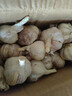 特大河南大蒜頭調(diào)料蒜蓉2025年新蒜頭蔬菜 河南中牟農(nóng)家蒜（50mm - 60mm特大） 2斤【辛辣十足 調(diào)味絕佳】 曬單實(shí)拍圖
