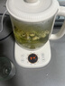 奧克斯（AUX）養(yǎng)生壺1.5L大容量玻璃煮茶壺全自動恒溫水壺保溫燒水一體智能電熱水壺花茶壺燒水壺24H預約12H保溫 1.5L 【帶濾網】304不銹鋼 1000W速熱 曬單實拍圖