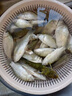 JCZS德國品牌魚(yú)餌通殺懶人顆粒狀餌料小藥垂釣野釣黑坑釣魚(yú)鯉魚(yú)鯽魚(yú) 腥香味大顆粒+果香味大顆粒 各1 曬單實(shí)拍圖