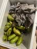海南皇帝蕉 新鮮香蕉自然熟當季水果 現(xiàn)摘現(xiàn)發(fā)香味濃郁 5斤（凈重4.5-5斤） 曬單實拍圖