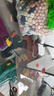 小型觀賞魚孔雀魚米奇魚斑馬魚白云金絲金苔鼠魚小型熱帶魚活體魚 孔雀米奇各3條+斑馬6條送魚食 曬單實拍圖