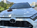 阿勇改裝適用20-25款豐田榮放rav4卡扣式防蟲網(wǎng)水箱中網(wǎng)一體專用改裝配件 RAV4榮放【防蟲網(wǎng)【亮銀上網(wǎng)+亮銀下網(wǎng)】2件套 曬單實(shí)拍圖