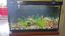 森森金麟超白玻璃魚缸一體缸自循環(huán)客廳小型家用水族箱LE-480B 曬單實拍圖