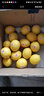 南非檸檬5斤進(jìn)口鑰匙鎖扣一級黃檸檬大果新鮮非美國新奇士智利 凈果5斤 17-25個(gè) 曬單實(shí)拍圖