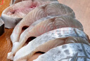 漁哥戲魚鲅魚銷量5萬+條 青島大鲅魚送禮禮盒鲅魚整條海魚馬鮫魚冷凍鮮活 3斤裝/3條 曬單實(shí)拍圖
