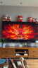 東芝電視85Z500QF 85英寸 Mini LED控光 264Hz 4+128GB 高色域 火箭炮音響 4K超清 家電國家補(bǔ)貼 曬單實拍圖