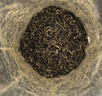 樂品樂茶頭采芽特級碧螺春綠茶2025新茶明前嫩芽茶葉禮盒送領(lǐng)導(dǎo)送長輩250g 曬單實(shí)拍圖