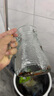 涼水壺錘紋玻璃冷水壺套裝家用夏季水具 錘紋水具套裝【1壺4杯】 曬單實拍圖