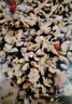 獐子島 蜆子肉1斤 去殼去沙蛤蜊肉花甲肉 生鮮海鮮水產(chǎn)貝類火鍋燒烤食材 曬單實拍圖