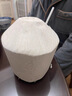 春福樂椰子椰青【產(chǎn)地直發(fā)】海南新鮮椰子青椰當(dāng)季熱帶孕婦水果現(xiàn)摘現(xiàn)發(fā) 凈重6個裝丨單果800-1100g丨 曬單實拍圖