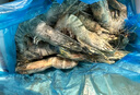 美加佳大號黑虎蝦 去冰凈重2斤 20-30只 燒烤大蝦 生鮮蝦類 曬單實拍圖