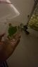 舒齊兒童牛奶杯學(xué)飲杯家用寶寶沖泡奶粉杯帶刻度杯吸管帶把玻璃水杯 曬單實(shí)拍圖
