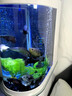 靚寵底濾屏風(fēng)隔斷子彈頭魚缸水族箱客廳家用中大型玻璃入戶門玄關(guān)金魚 白色 （底濾+液晶顯示屏+大禮包） 長80cm寬40cm高160cm 曬單實(shí)拍圖