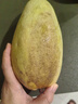 青惠悠頭茬云南大青芒新鮮西雙版納水果 大青芒【8.5斤裝大果700g+】 曬單實拍圖