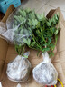 八方來(lái)財(cái)鴨腳木招財(cái)樹(shù)鵝掌柴室內(nèi)綠植凈化空氣吸甲醛花卉綠植好養(yǎng) 帶老樁高40-50cm 不含盆 曬單實(shí)拍圖