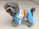 阿莫爾狗狗衣服夏季戶外防水連帽沖鋒衣泰迪比熊博美四腳衣寵物小狗雨衣 藍白撞色沖鋒衣【四腳】 M(建議5-8斤具體參考胸圍背長) 曬單實拍圖
