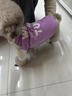 WAKYTU狗狗衣服秋冬夏季薄款法斗小狗春秋泰迪小型犬貓咪寵物T恤雪納瑞 薰衣草紫S碼【適用于7-10斤愛(ài)寵 曬單實(shí)拍圖