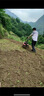 進(jìn)口微耕機(jī)小型汽油家用四沖程松土鋤草開(kāi)溝機(jī)翻地開(kāi)荒耕地旋耕機(jī) 四沖程超大力【松土+耙犁】豪禮 曬單實(shí)拍圖