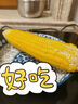 京東京造90%黑豬鮮肉腸900g 純黑豬肉烤腸配料極簡(jiǎn)不含淀粉雞肉 曬單實(shí)拍圖