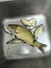 川澤線組主線全套進口魚線成品線組套裝釣鯽魚競技線組正品大物線組 4.5m【4卷裝】+收納盒剪刀 1.5號 曬單實拍圖