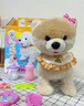 貝初眾兒童玩具1-3-6歲男女孩生日禮物毛絨小狗狗玩具一歲寶寶周歲禮物 禮盒充電款【仿生智能+遙控豪華9件套】 會走路會叫唱歌學說話仿真電動小狗2025火的最玩具 曬單實拍圖