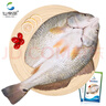 仙泉湖三去斑點尾鱸魚1斤單條凈膛后冷凍肉厚刺少 海鮮水產(chǎn)生鮮食材 曬單實拍圖